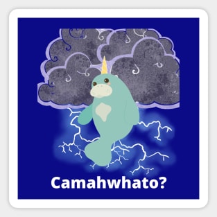 Camawhato? Magnet